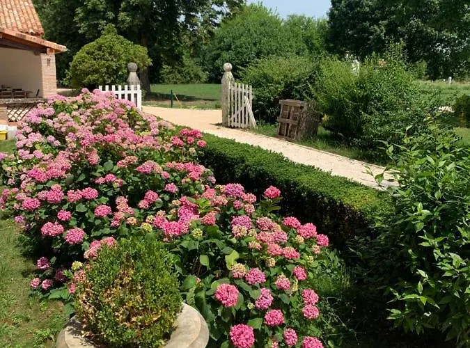 D'hotes Et Table D'hotes Domaine De La Terrasse Sas Et Anda Montauban فندق مبيت وإفطار Lacourt-Saint-Pierre