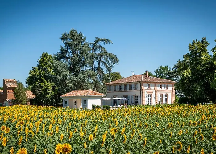 D'hotes Et Table D'hotes Domaine De La Terrasse Sas Et Anda Montauban Nocleg ze śniadaniem